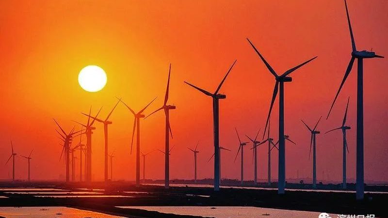 新能源厂家直销价格解析：揭秘十大品牌排名背后的逻辑